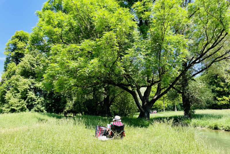 Du betrachtest gerade Sommer im Englischen Garten